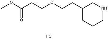 Methyl 3-[2-(3-piperidinyl)ethoxy]propanoatehydrochloride Struktur