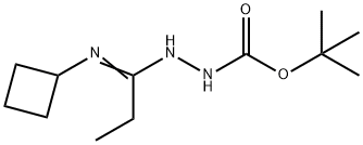 N'-[1-Cyclobutylaminopropylidene]-hydrazinecarboxylic acid tert-butyl ester Struktur