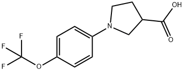 1-[4-(TRIFLUOROMETHOXY)PHENYL]PYRROLIDINE-3-CARBOXYLICACID Struktur