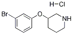 3-(3-BROMOPHENOXY)PIPERIDINE HYDROCHLORIDE Struktur