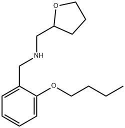 (2-Butoxyphenyl)-N-(tetrahydro-2-furanylmethyl)methanamine Struktur