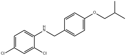 2,4-Dichloro-N-(4-isobutoxybenzyl)aniline Struktur