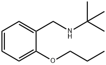 2-Methyl-N-(2-propoxybenzyl)-2-propanamine Struktur