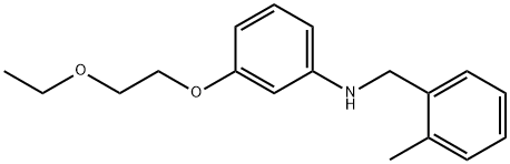 3-(2-Ethoxyethoxy)-N-(2-methylbenzyl)aniline Struktur