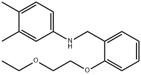 N-[2-(2-Ethoxyethoxy)benzyl]-3,4-dimethylaniline Struktur