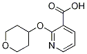 2-(Tetrahydro-2H-pyran-4-yloxy)nicotinic  acid Struktur