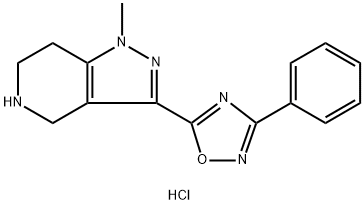 1-Methyl-3-(3-phenyl-1,2,4-oxadiazol-5-yl)-4,5,6,7 -tetrahydro-1H-pyrazolo[4,3-c]pyridine HCl Struktur