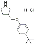 4-(TERT-BUTYL)PHENYL 3-PYRROLIDINYLMETHYL ETHERHYDROCHLORIDE Struktur