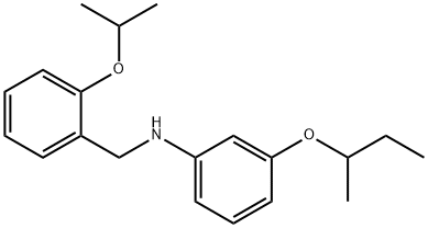 3-(sec-Butoxy)-N-(2-isopropoxybenzyl)aniline Struktur