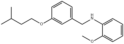 N-[3-(Isopentyloxy)benzyl]-2-methoxyaniline Struktur