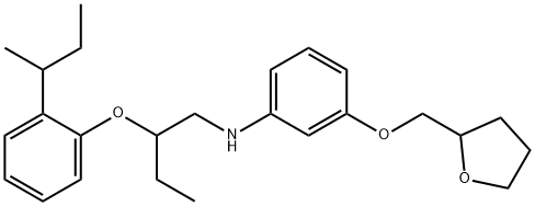 N-{2-[2-(sec-Butyl)phenoxy]butyl}-3-(tetrahydro-2-furanylmethoxy)aniline Struktur