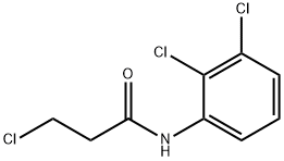 3-chloro-N-(2,3-dichlorophenyl)propanamide Struktur