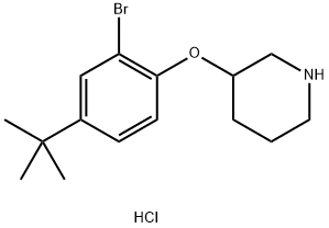 3-[2-Bromo-4-(tert-butyl)phenoxy]piperidinehydrochloride Struktur