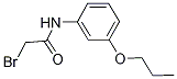 2-Bromo-N-(3-propoxyphenyl)acetamide Struktur