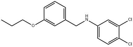 3,4-Dichloro-N-(3-propoxybenzyl)aniline Struktur