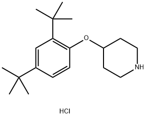 4-[2,4-Di(tert-butyl)phenoxy]piperidinehydrochloride Struktur