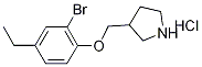 3-[(2-Bromo-4-ethylphenoxy)methyl]pyrrolidinehydrochloride Struktur