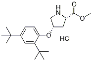 Methyl (2S,4S)-4-[2,4-di(tert-butyl)phenoxy]-2-pyrrolidinecarboxylate hydrochloride Struktur