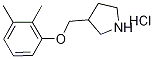 3-[(2,3-Dimethylphenoxy)methyl]pyrrolidinehydrochloride Struktur