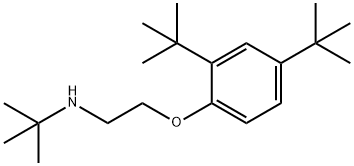 N-{2-[2,4-Di(tert-butyl)phenoxy]ethyl}-2-methyl-2-propanamine Struktur