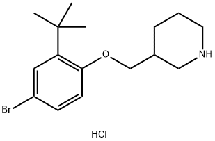 4-Bromo-2-(tert-butyl)phenyl 3-piperidinylmethylether hydrochloride Struktur