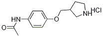 N-[4-(3-Pyrrolidinylmethoxy)phenyl]acetamidehydrochloride Struktur