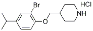 4-[(2-Bromo-4-isopropylphenoxy)methyl]piperidinehydrochloride Struktur