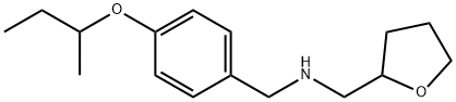 [4-(sec-Butoxy)phenyl]-N-(tetrahydro-2-furanylmethyl)methanamine Struktur