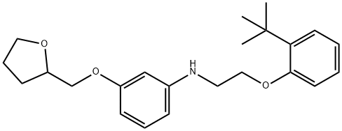 N-{2-[2-(tert-Butyl)phenoxy]ethyl}-3-(tetrahydro-2-furanylmethoxy)aniline Struktur