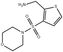 [3-(morpholin-4-ylsulfonyl)thien-2-yl]methylamine Structure