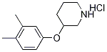 3-(3,4-Dimethylphenoxy)piperidine hydrochloride Struktur