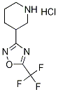 3-[5-(Trifluoromethyl)-1,2,4-oxadiazol-3-yl]-piperidine hydrochloride Struktur