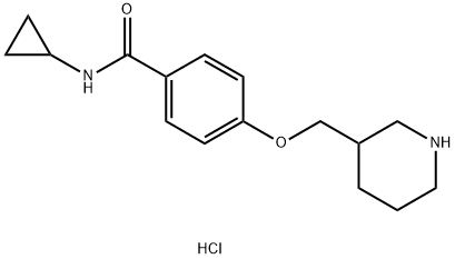 N-Cyclopropyl-4-(piperidin-3-ylmethoxy)benzamide hydrochloride Struktur