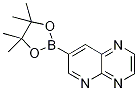 Pyrido[2,3-b]pyrazine-7-boronic acid, pinacol ester Struktur