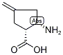 (1R,2S)-2-Amino-4-methylenecyclopentane-1-carboxylic acid Struktur