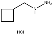 (Cyclobutylmethyl)hydrazine dihydrochloride Struktur