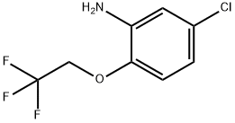 5-CHLORO-2-(2,2,2-TRIFLUOROETHOXY)ANILINE Struktur