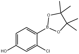 3-Chloro-4-(4,4,5,5-tetraMethyl-1,3,2-dioxaborolan-2-yl)phenol Struktur