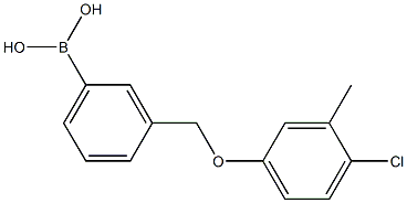 3-[(4-Chloro-3-Methylphenoxy)Methyl)phenylboronic Struktur