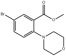 Methyl 5-broMo-2-Morpholinobenzoate Struktur