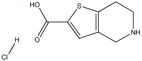 4,5,6,7-Tetrahydrothieno[3,2-c]pyridine-2-carboxylic acid hydrochloride Struktur