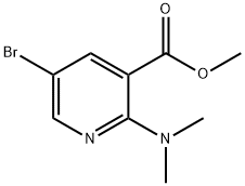 Methyl 5-broMo-2-(diMethylaMino)nicotinate Struktur