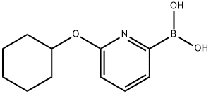 6-(CYCLOHEXYLOXY)PYRIDINE-2-BORONIC ACID Struktur