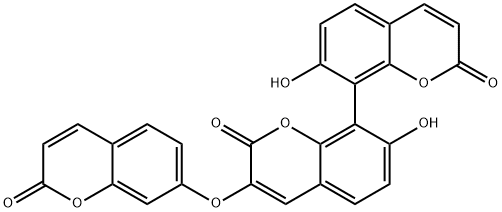 TriuMbelletin Struktur