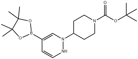 tert-butyl 4-(5-(4,4,5,5-tetramethyl-1,3,2-dioxaborolan-2-yl)pyridazin-1(2H)-yl)piperidine-1-carboxylate Struktur