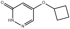 5-cyclobutoxypyridazin-3(2H)-one Struktur