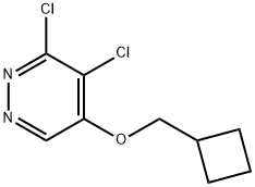 3,4-dichloro-5-(cyclobutylmethoxy)pyridazine Struktur