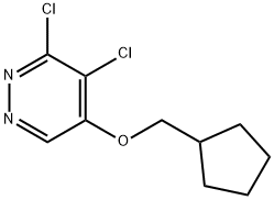 3,4-dichloro-5-(cyclopentylmethoxy)pyridazine Struktur