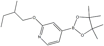 2-(2-methylbutoxy)-4-(4,4,5,5-tetramethyl-1,3,2-dioxaborolan-2-yl)pyridine Struktur