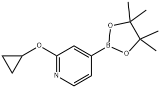 2-cyclopropoxy-4-(4,4,5,5-tetramethyl-1,3,2-dioxaborolan-2-yl)pyridine Struktur